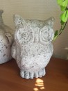 Deco Uil - Betonlook