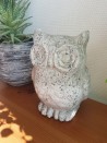 Deco Uil - Betonlook
