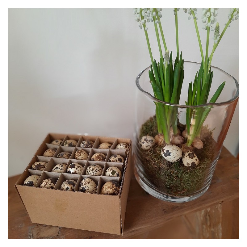 Kwarteleitjes - Naturel - 60 stuks