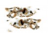 Doosje bruine veren - ca. 50 stuks