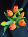 Bosje Tulpen - Oranje