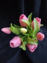 Bosje Tulpen - Lilac