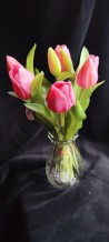 Bosje Tulpen - Lilac