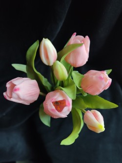 Bosje Tulpen - Licht Rose