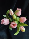 Bosje Tulpen - Licht Rose