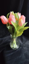 Bosje Tulpen - Licht Rose