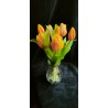 Bosje Tulpen - Geel