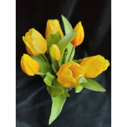 Bosje Tulpen - Geel