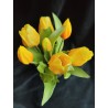 Bosje Tulpen - Geel